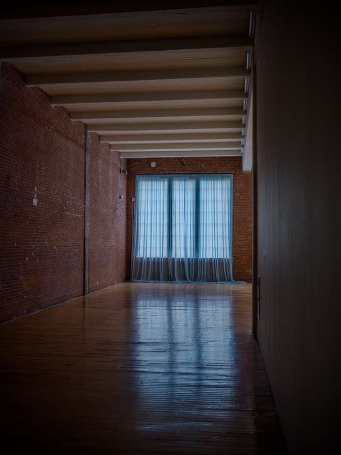 Rhythmic Ceiling Beams Frame Contemporary Art Space